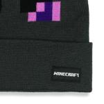 Minecraft Beanie Adult Ender Dragon 3D Ears Character Cuff Knit Hat Cap Grey