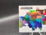 2024 Panini Minecraft STEVE Colorblast Case Hit Prizm SSP Ultra Rare #7