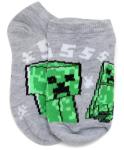 Minecraft Boy's 5 Pack Character Socks, Green/Grey, Medium