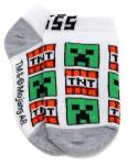 Minecraft Boy's 5 Pack Character Socks, Green/Grey, Medium