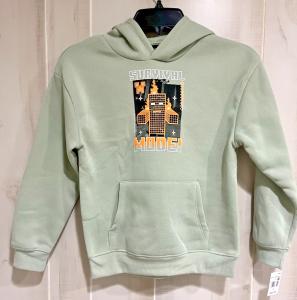 Boys MINECRAFT Video Game Zombie Mode Graphic Pullover Hoodie Size Small NWT