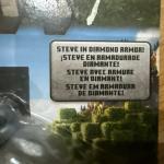 Mattel A Minecraft Movie Steve & Wolf Action Figures 2 Pack New Free Shipping