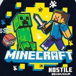 Minecraft Boys' Long Sleeve Top - Size 6
