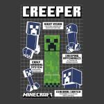 Boy's Minecraft Creeper Infogram T-Shirt - Dark Heather - Small