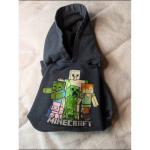 Kids Minecraft Hooded Sweatshirt