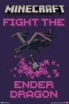 Trends International Minecraft - Fight The Ender Dragon Wall Poster, 19L x 13W, Premium Unframed Version