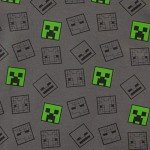 Multicolored Minecraft T-Shirt for Boys Size 10