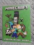 Minecraft 12-Pack Poster Set - Fun Designs!