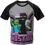 Minecraft Boys' 3-Pack Creeper & Enderman T-Shirts