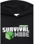 Minecraft Boys' Graphic Hoodie - Size 4