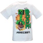 Minecraft Boys' 3-Pack Hoodie, Tee & Pants Set