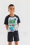 Minecraft Alex & Steve Graphic Tee and Shorts Set