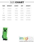 Minecraft Alex & Steve Graphic Tee and Shorts Set