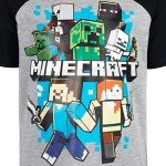 Minecraft Alex & Steve Graphic Tee and Shorts Set