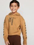 Minecraft Gender-Neutral Kids Pop Culture Hoodie