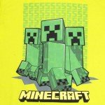 Minecraft Creeper Kids 3-Piece Apparel Set