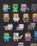 Minecraft Black T-Shirt for Boys, Age 9-10