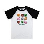 Minecraft Boys' 4-Pack Creeper Character Tees, XL