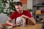 Dennis The Wolf Interactive Plush Toy with Sound