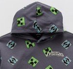Minecraft Boys' Fleece-Lined Hoodie, Size Medium