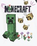 Minecraft Adventure Club Girls' Short Sleeve Tees - 4 Pack
