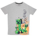 Minecraft Boys 3-Pack T-Shirt Set - Creeper & Friends