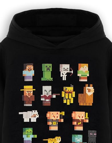 Minecraft Boys Black Graphic Hoodie for Gamers