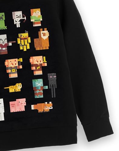 Minecraft Boys Black Graphic Hoodie for Gamers