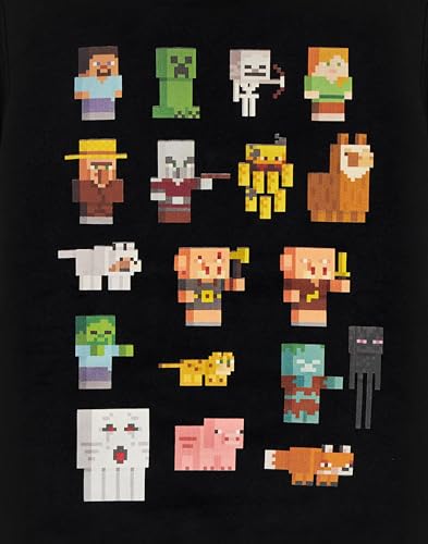 Minecraft Boys Black Graphic Hoodie for Gamers