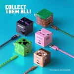 LIQUIPEL Powertek Minecraft Charging Bundle USB-C to C Cable and Wall Charger (Enderman)
