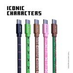 LIQUIPEL Powertek Minecraft Charging Bundle USB-C to C Cable and Wall Charger (Enderman)