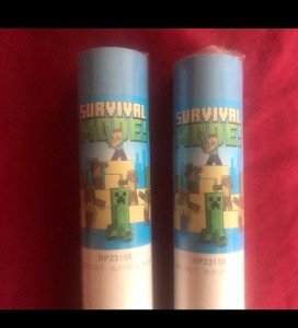 Minecraft Survival Mode Lot Of (2) 22x34 Posters New In Package 23159