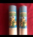 Minecraft Survival Mode Lot Of (2) 22x34 Posters New In Package 23159
