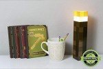 Minecraft Brownstone Torch Lamp with USB Charging