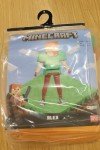 Alex Minecraft Costume for Kids - Medium Size
