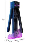 Minecraft Diamond Level Enderman Action Figure & Accessories