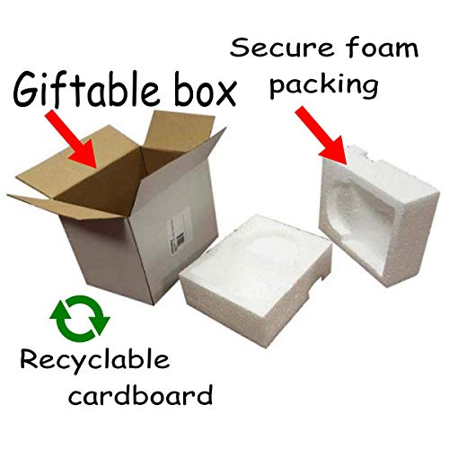 Proudly American Citizen Coffee Mug