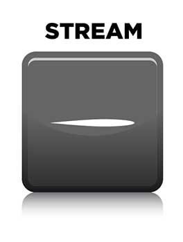 Bodyguard Stream Dog Repellent Aerosol 22g