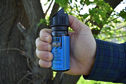 Bodyguard Dog Repellent Aerosol Spray 50g