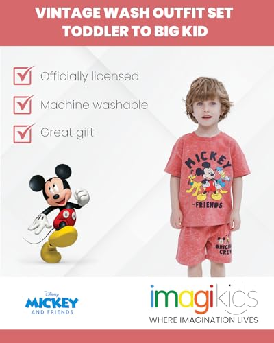 Mickey Mouse Donald Duck Toddler Outfit Set 5T