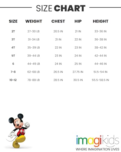 Mickey Mouse Donald Duck Toddler Outfit Set 5T