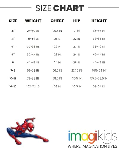 Spider-Man Boys' 2-Pack Long Sleeve T-Shirts