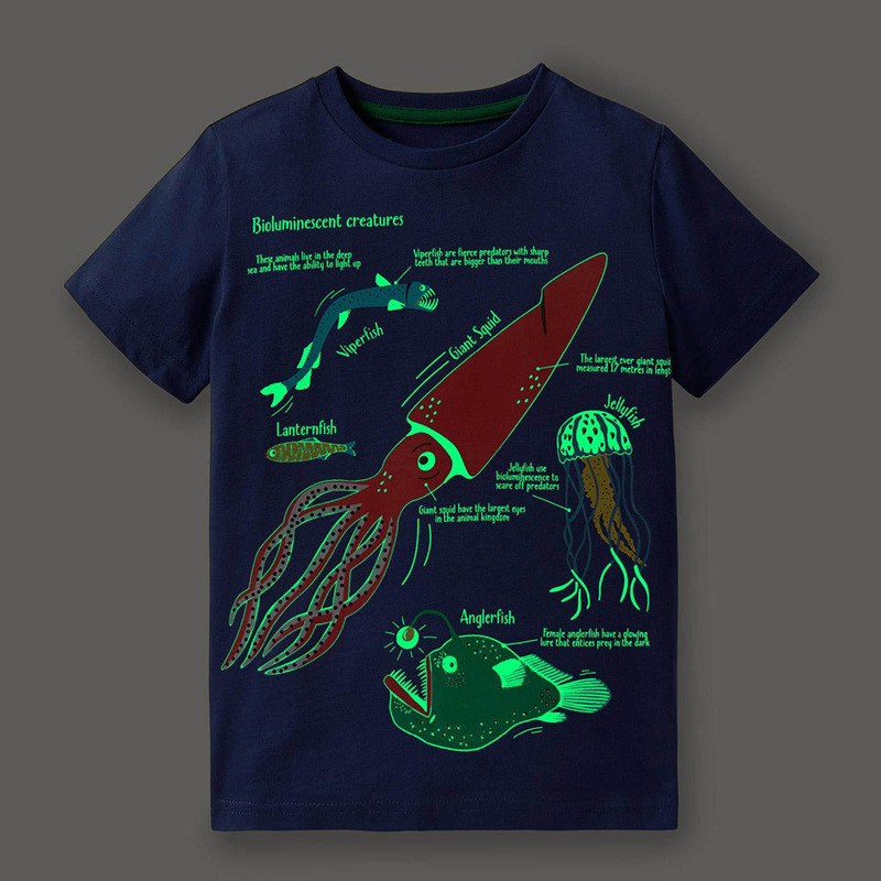 Luminous Dinosaur Boys' T-Shirt for Kids 2-7
