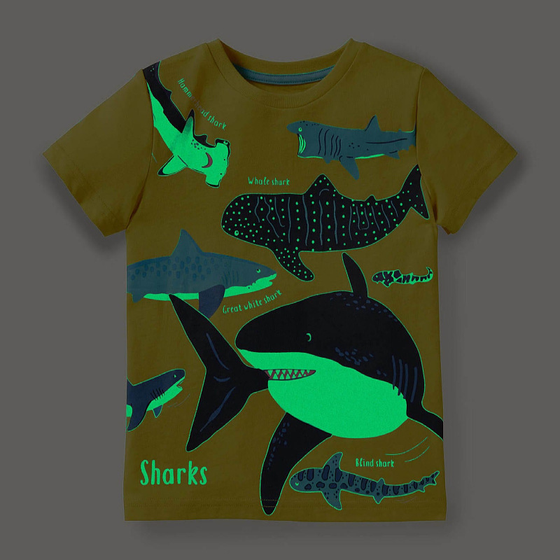 Luminous Dinosaur Boys' T-Shirt for Kids 2-7