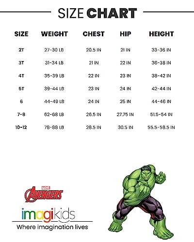 Marvel Avengers Toddler Boys Graphic T-Shirt 4 Pack