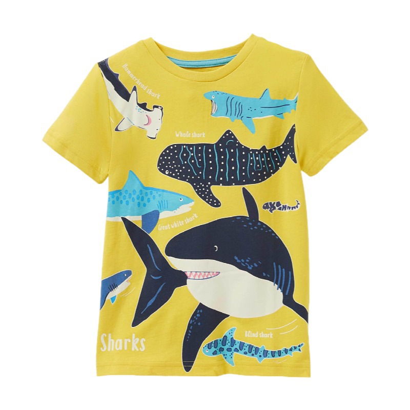 Luminous Dinosaur Boys' T-Shirt for Kids 2-7
