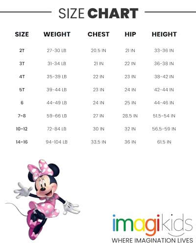 Disney Minnie Mouse Girls' T-Shirt & Dolphin Shorts Set