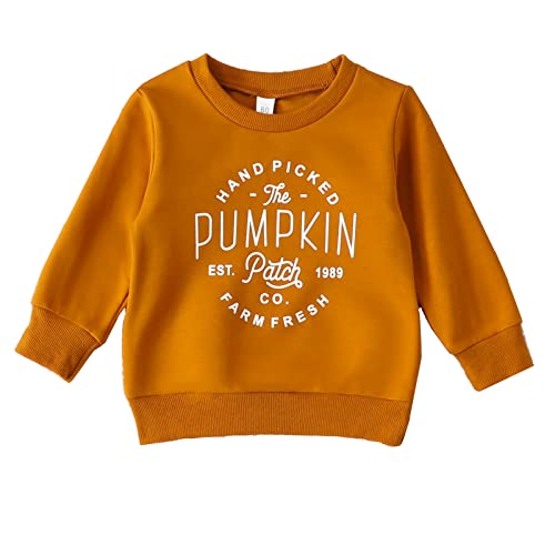 Halloween Pumpkin Sweatshirt for Toddler Kids