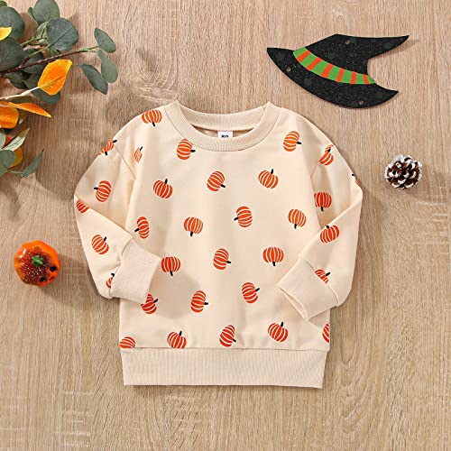 Cute Pumpkin Sweatshirt for Toddler Halloween Outfit