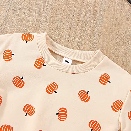 Cute Pumpkin Sweatshirt for Toddler Halloween Outfit